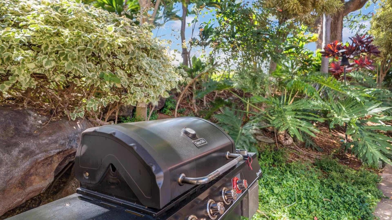 Photo of Outdoor in Kahana