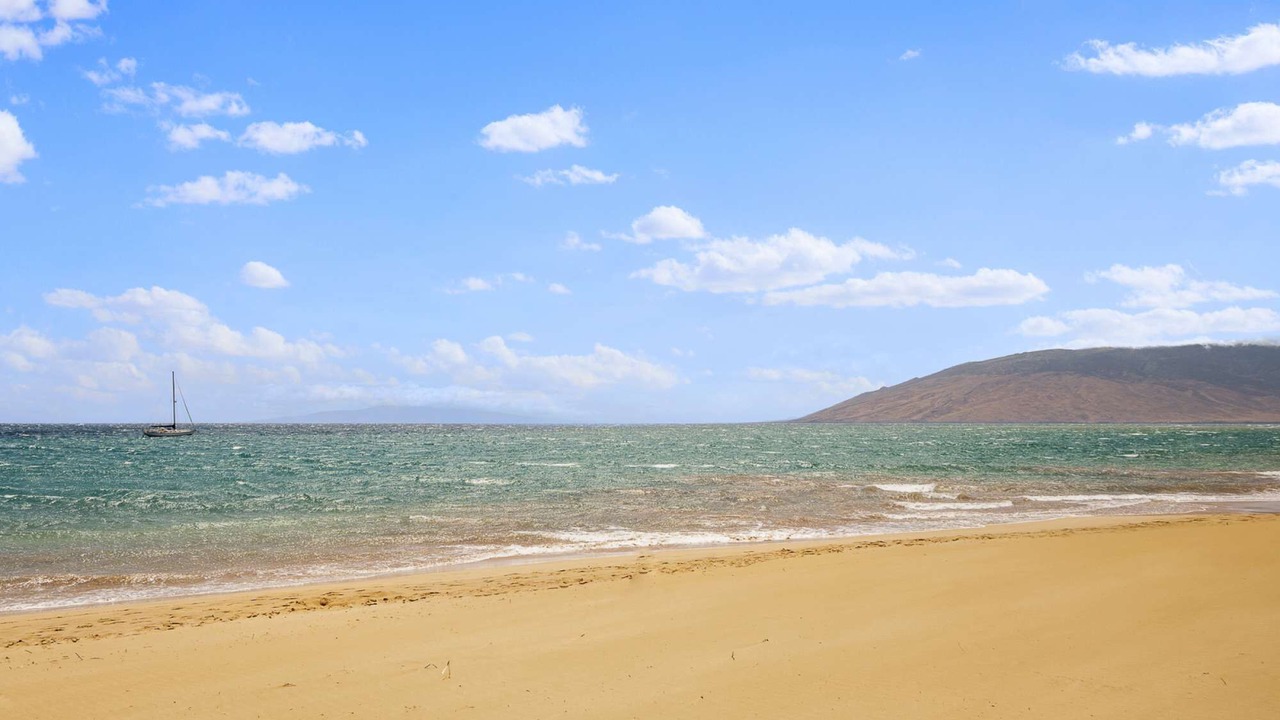 Photo of Others in Kihei