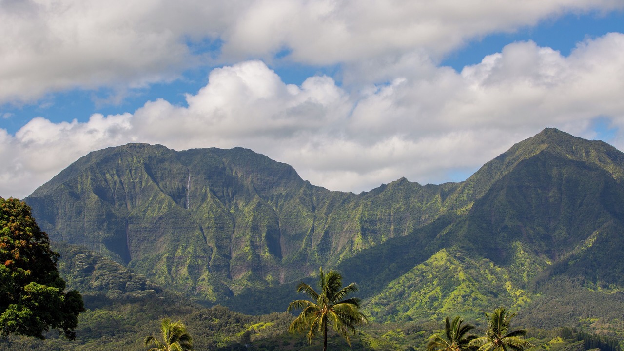 Photo of Others in Princeville