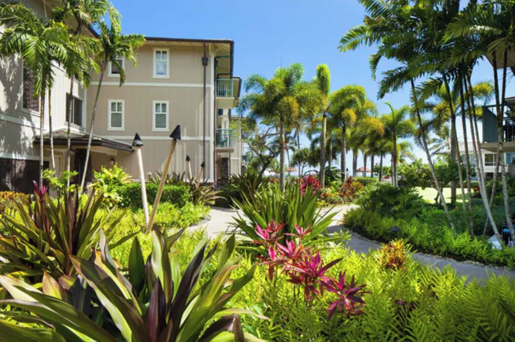 Photo of Outdoor in Princeville