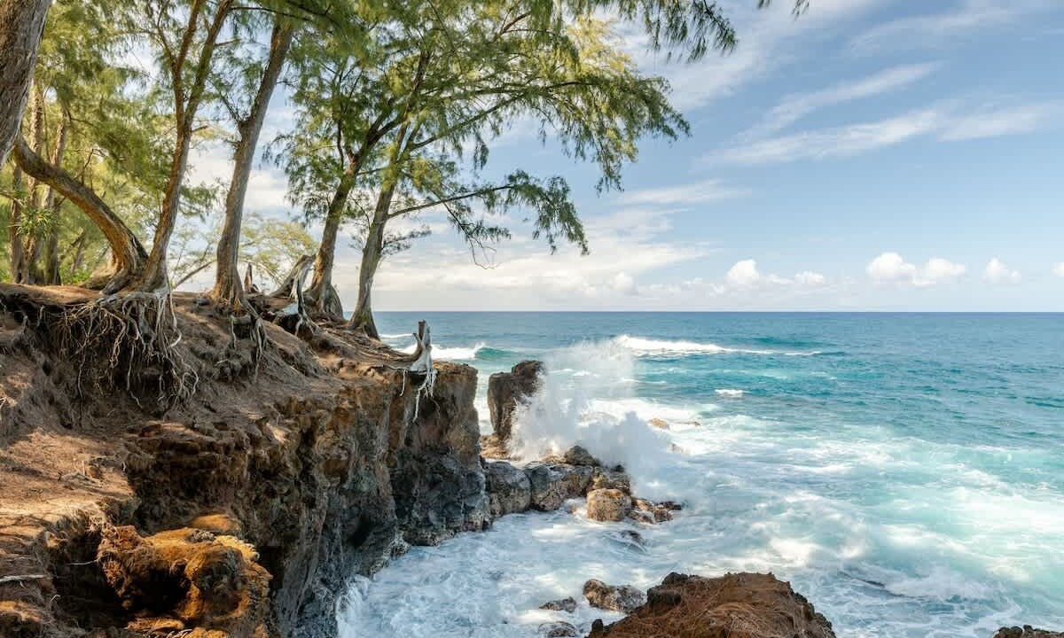 Photo of Others in Pepeekeo