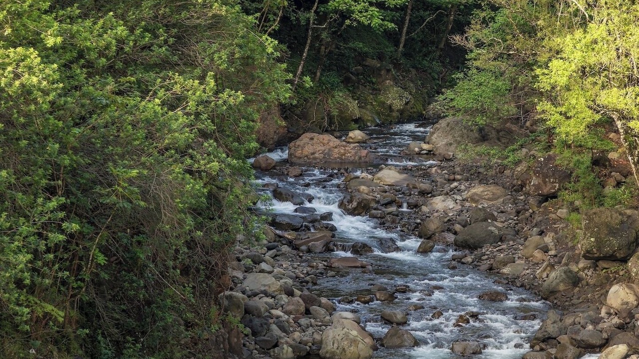Photo of Others in Wailuku