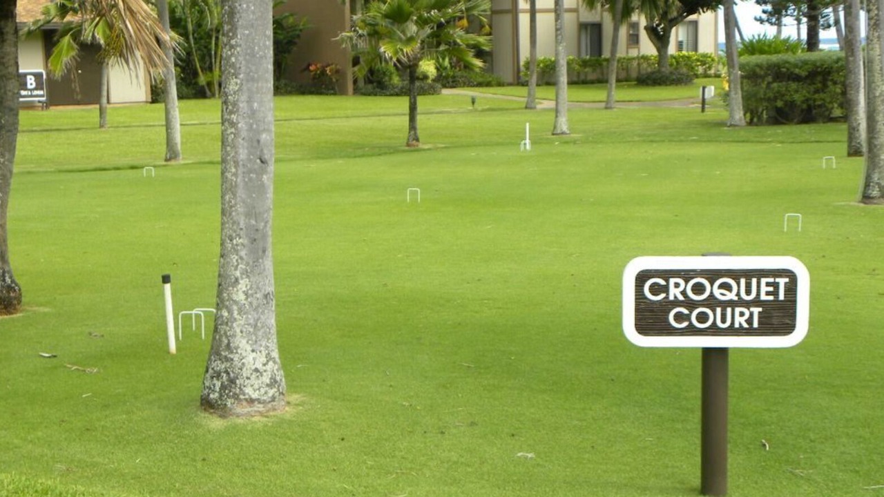 Photo of Outdoor in Kapaa