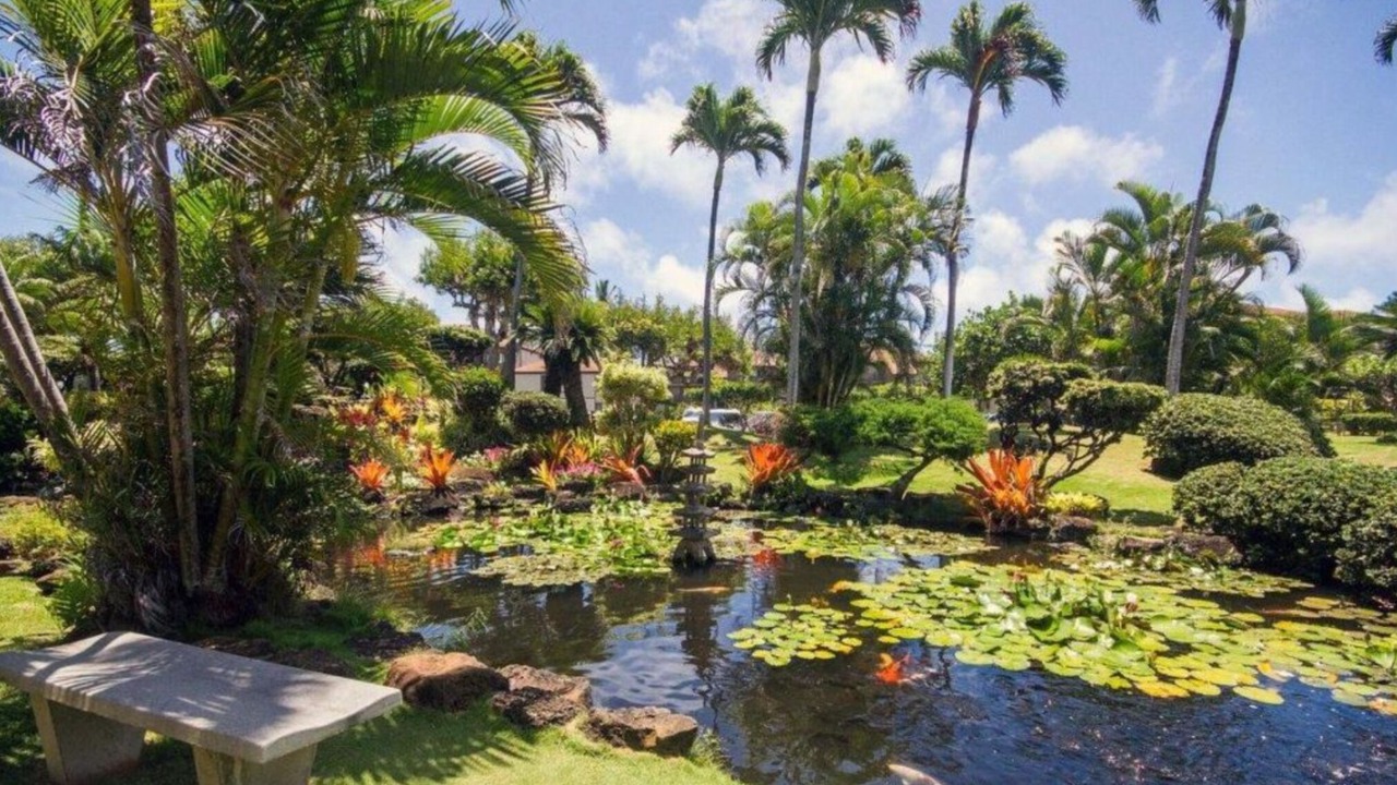 Photo of Outdoor in Kapaa