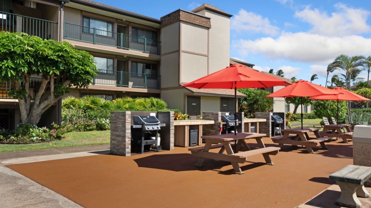 Photo of Outdoor in Kapaa
