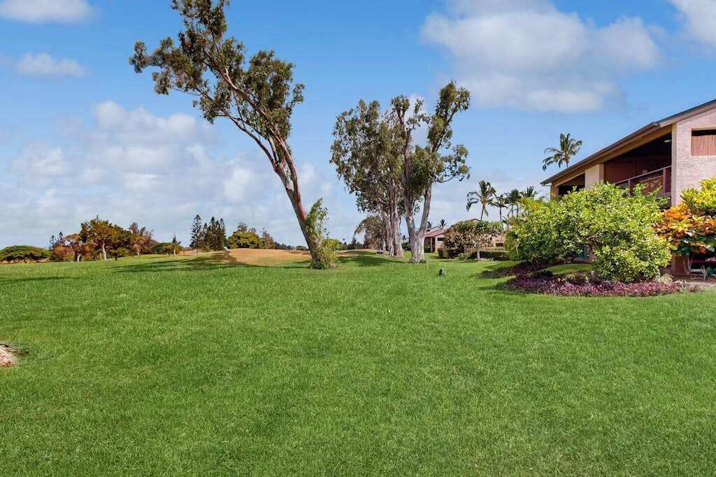 Photo of Outdoor in Waikoloa