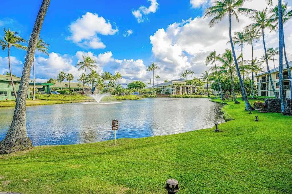 Photo of Outdoor in Hanamaulu