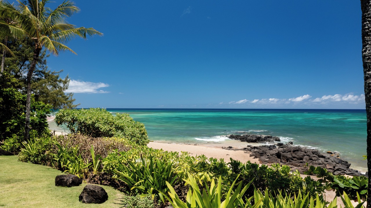 Photo of Others in Haleiwa