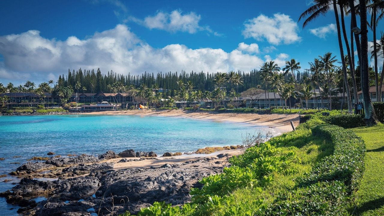 Photo of Others in Napili