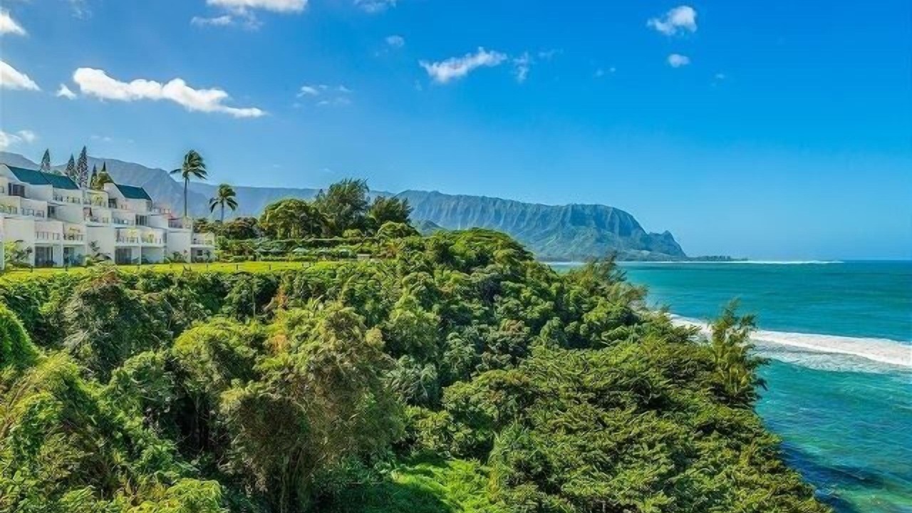 Photo of Others in Princeville
