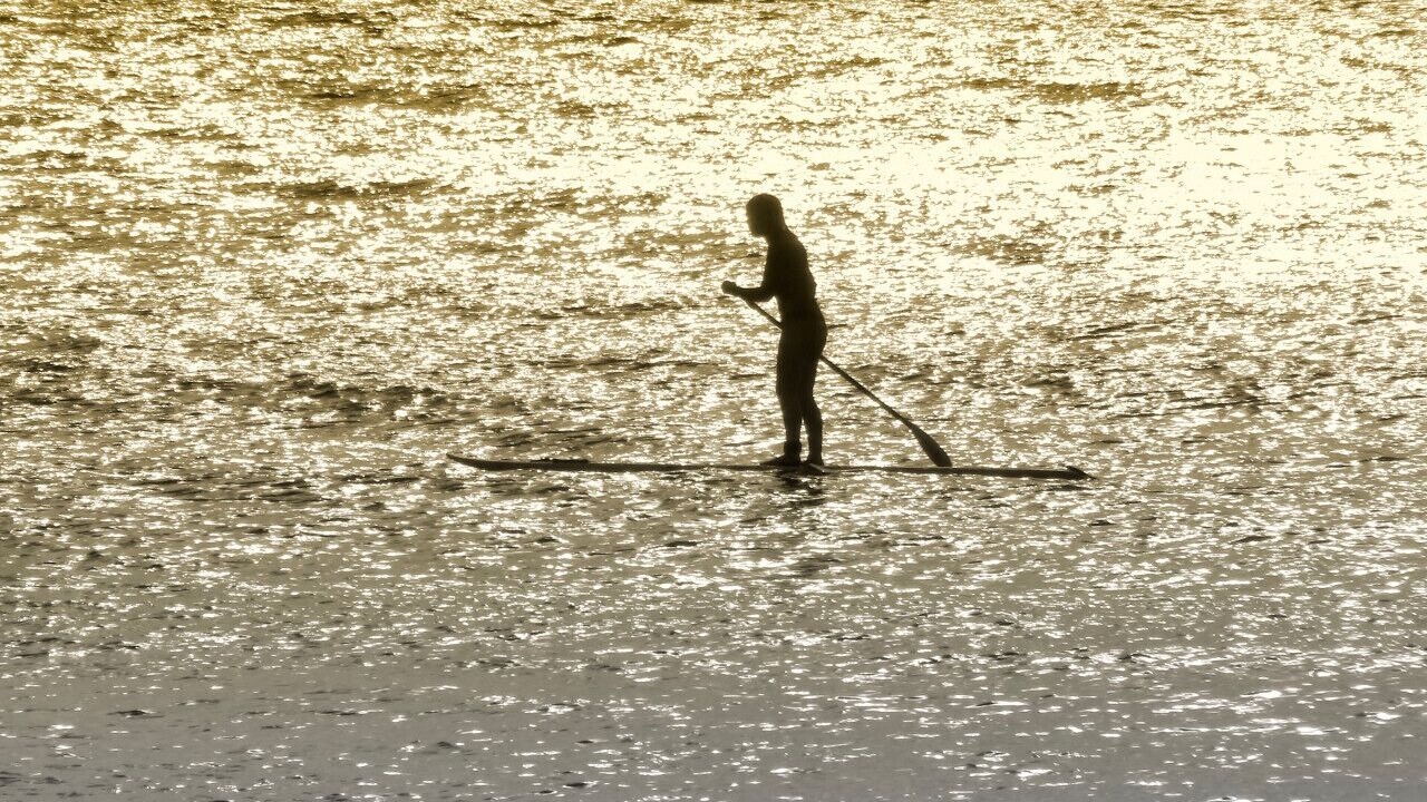 Photo of Others in Waialee