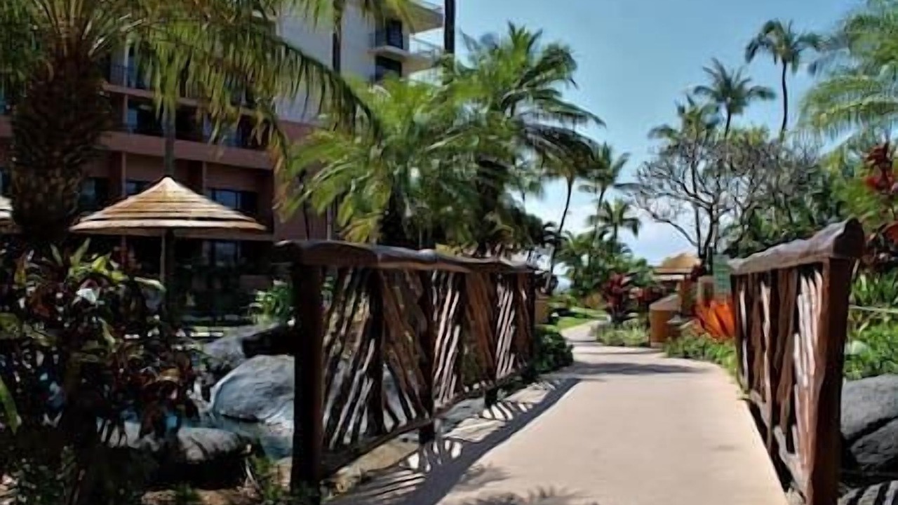 Photo of Outdoor in Kaanapali