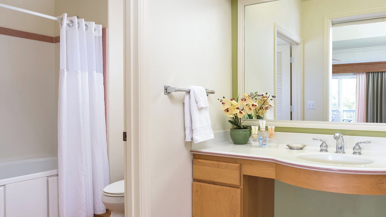 Photo of Bathroom in Princeville