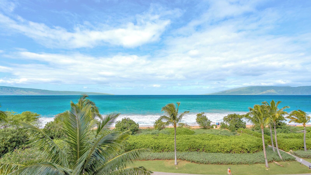 Photo of Others in Kaanapali
