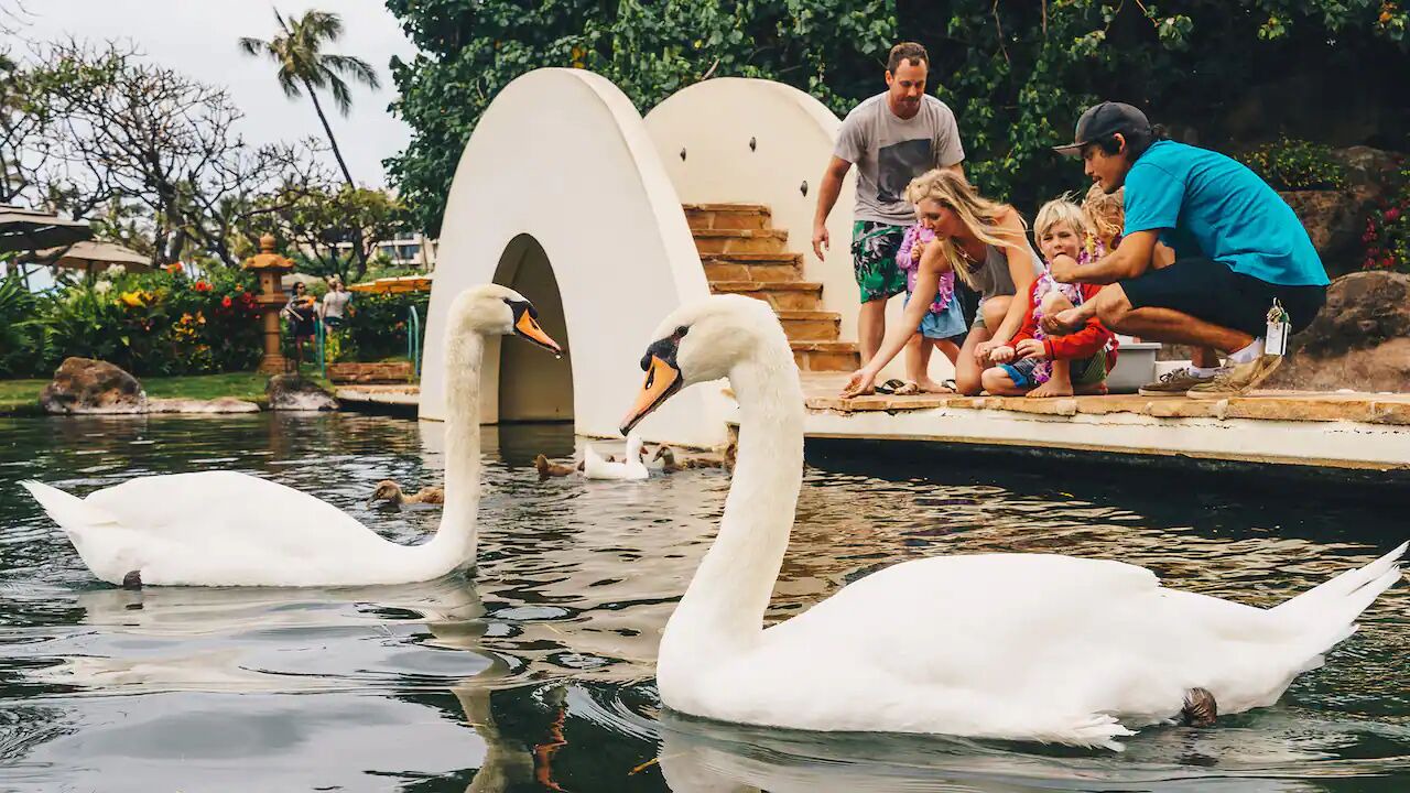 Photo of Outdoor in Kaanapali
