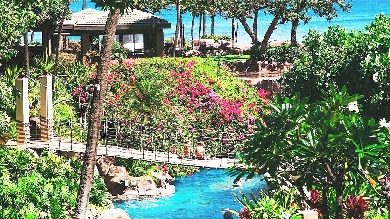 Photo of Outdoor in Kaanapali