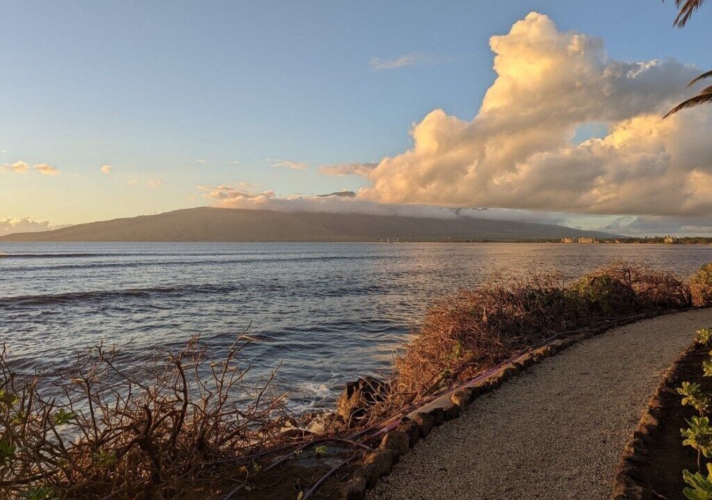 Photo of Others in Kihei