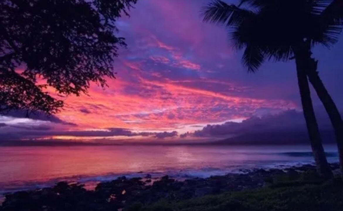 Photo of Outdoor in Napili