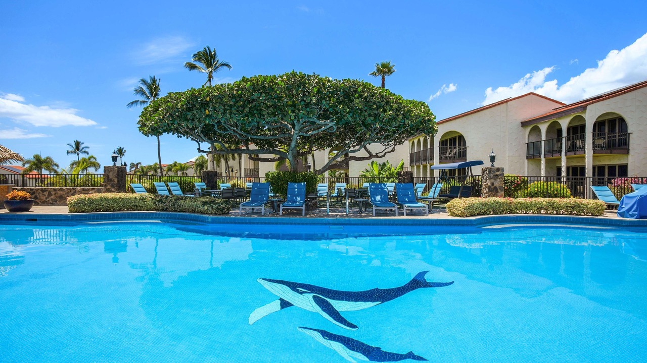 Photo of Outdoor in Kihei