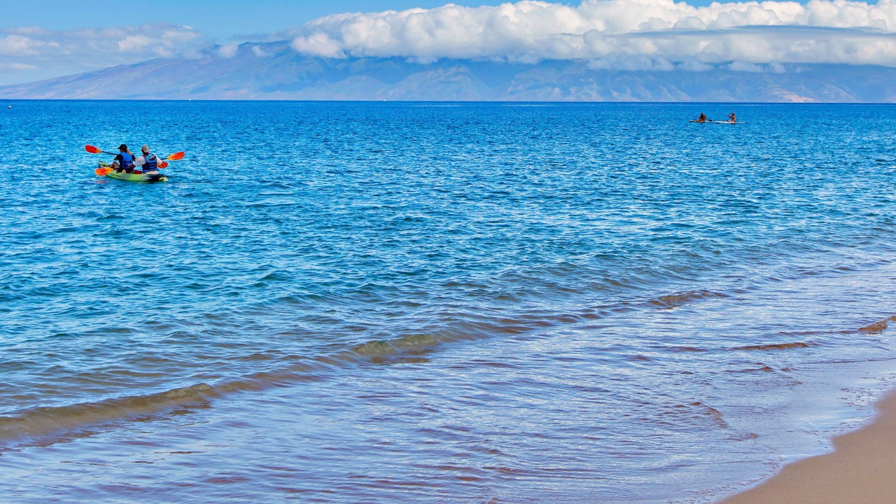 Photo of Others in Kaanapali