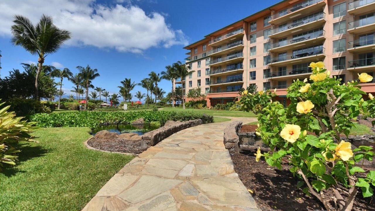 Photo of Outdoor in Kaanapali