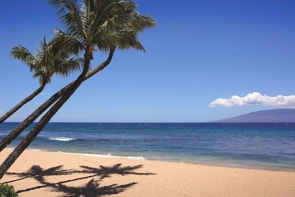 Photo of Others in Kaanapali