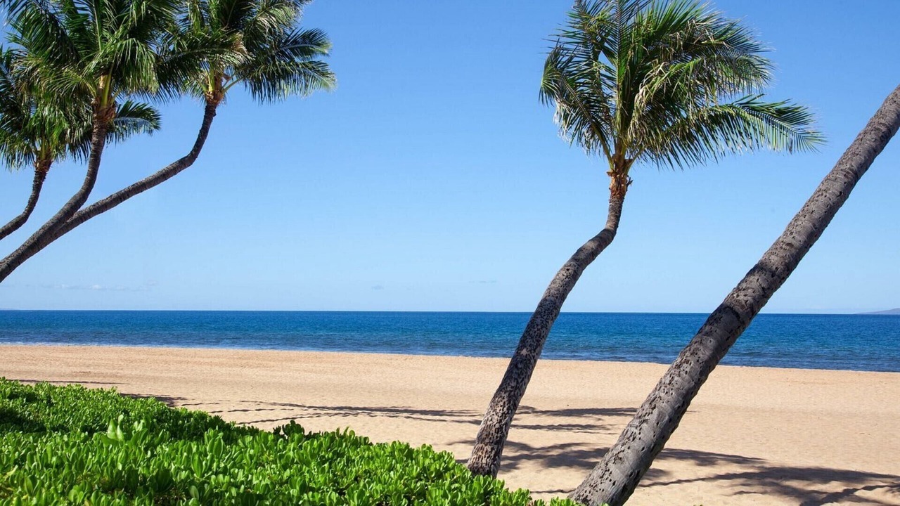 Photo of Others in Kaanapali