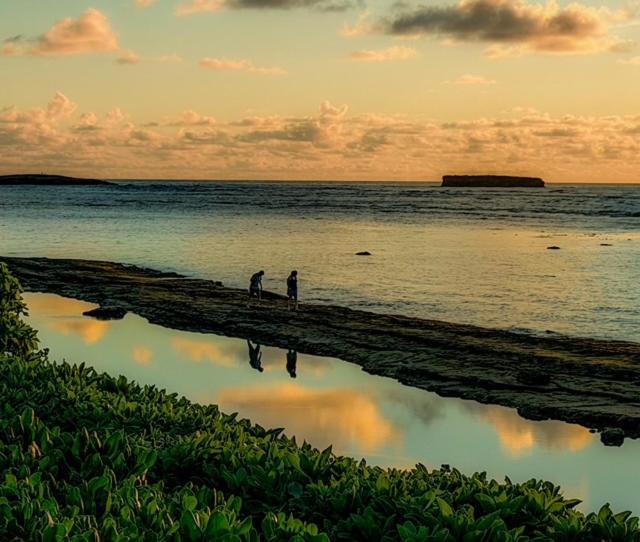 Photo of Others in Laie