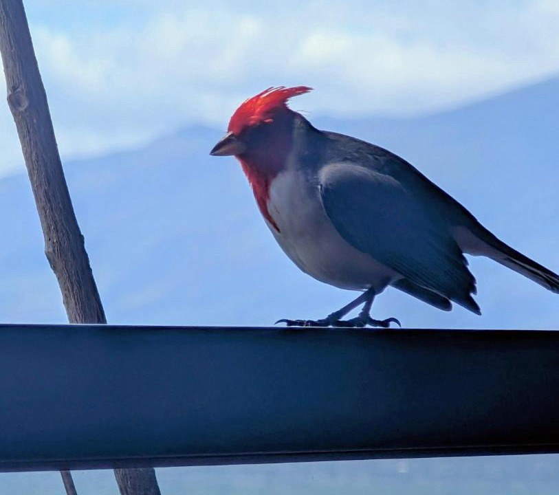 Photo of Others in Kahana