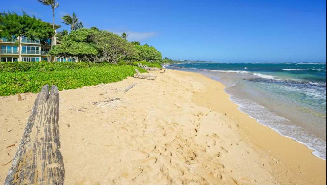 Photo of Others in Wailua