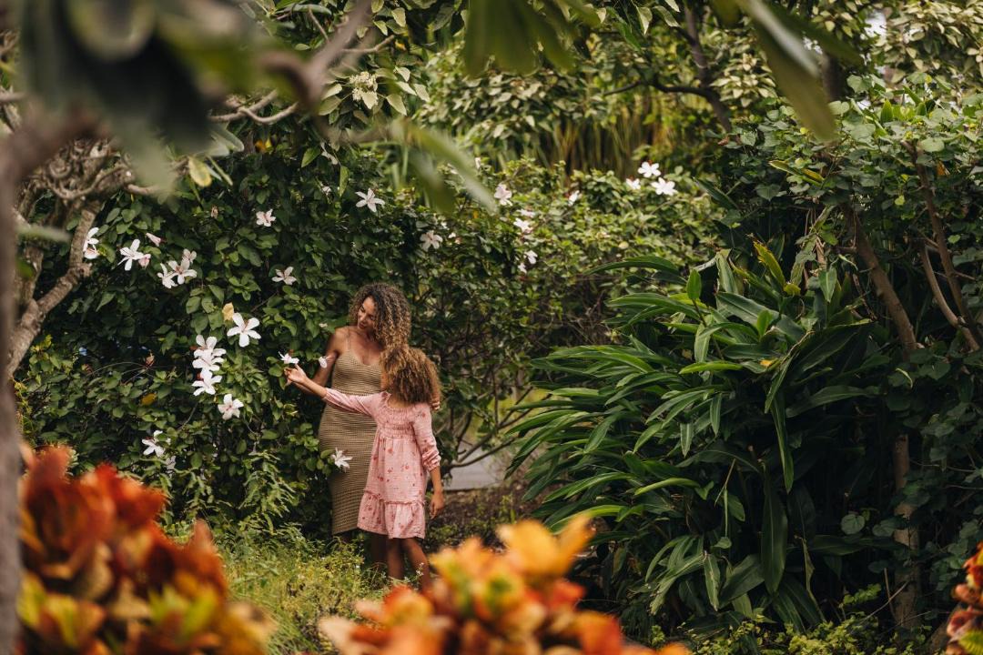 Photo of Others in Kahuku