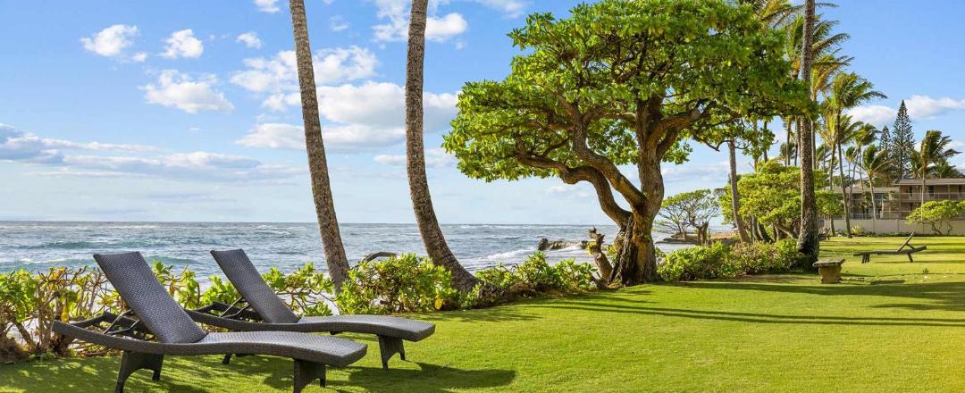 Photo of Others in Wailua