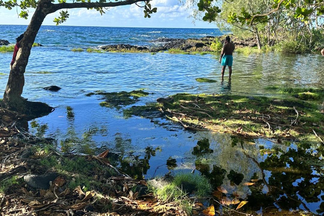 Photo of Others in Hilo