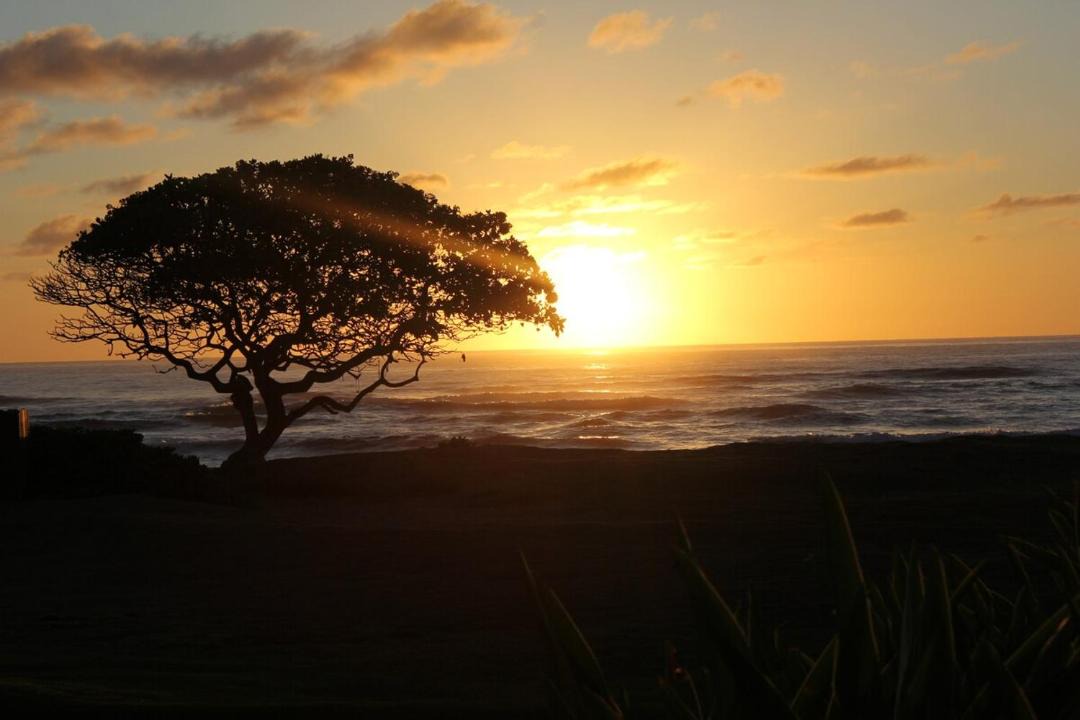 Photo of Others in Hanamaulu
