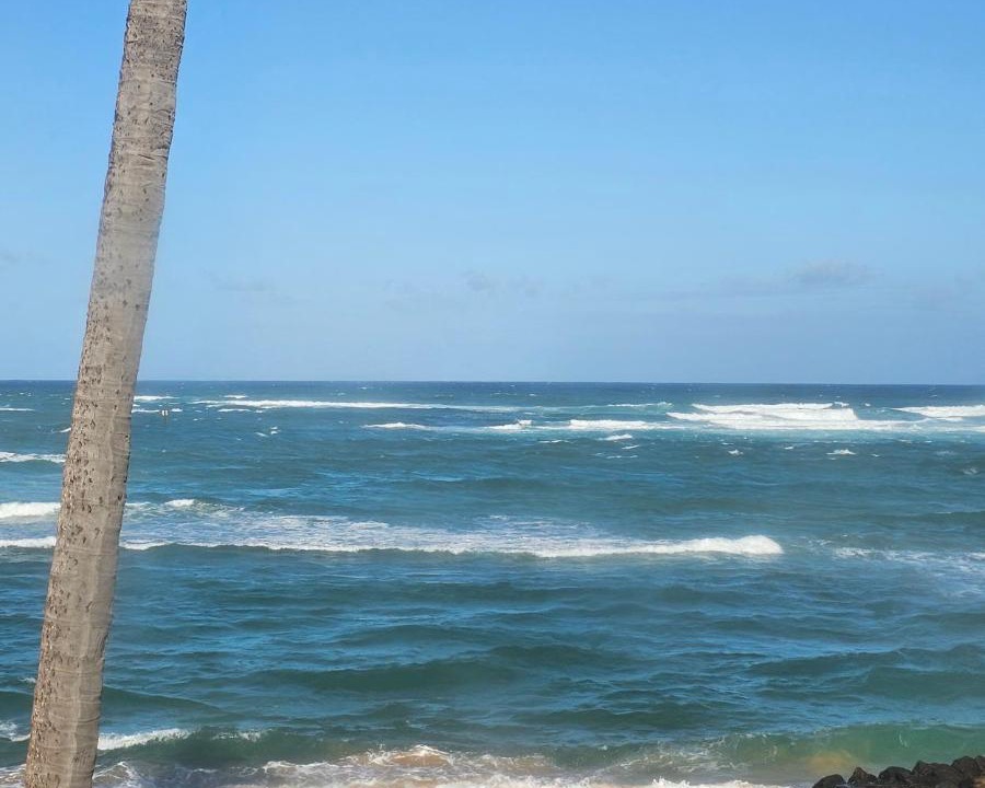 Photo of Others in Kapaa