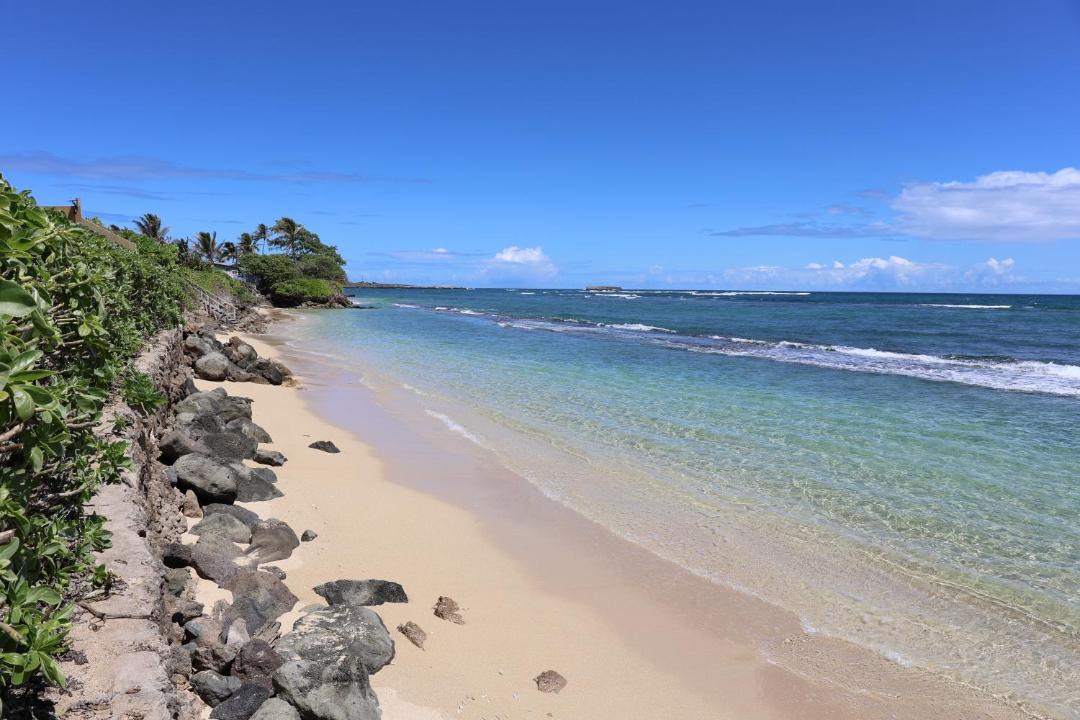 Photo of Others in Laie