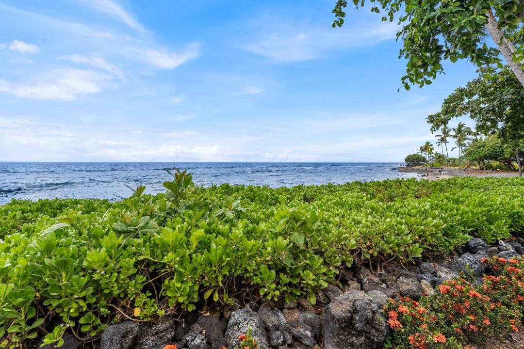 Photo of Others in Kahaluu-Keauhou