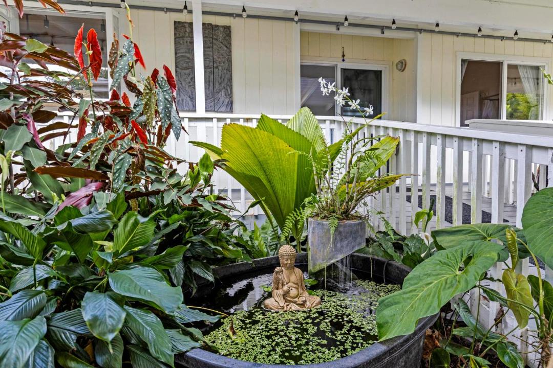 Photo of Others in Pahoa