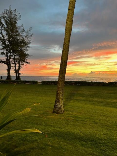 Photo of Others in Kapaa