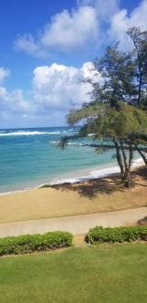Photo of Others in Kapaa