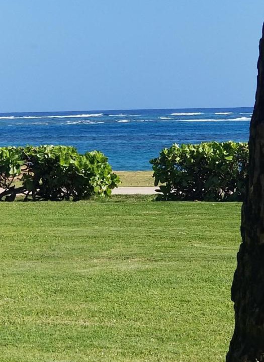 Photo of Others in Kapaa
