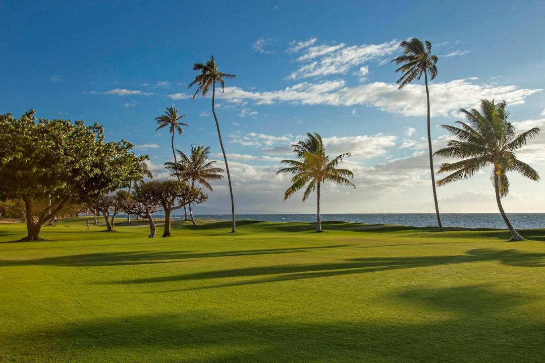 Photo of Others in Kihei