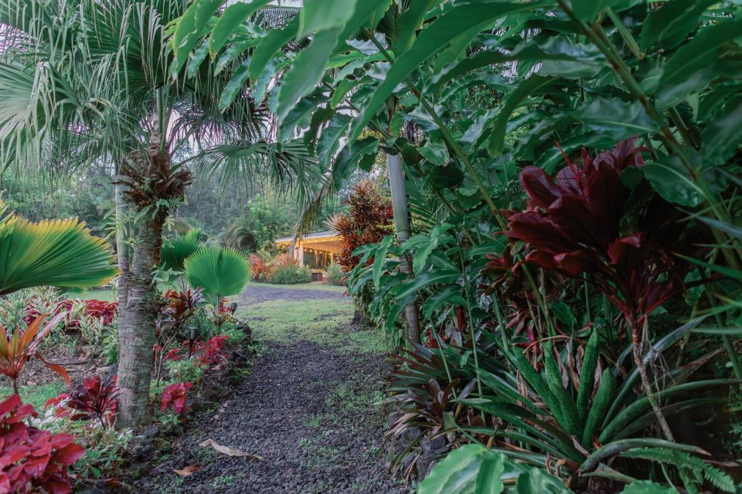 Photo of Others in Pahoa