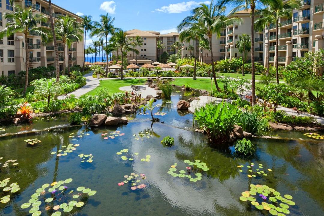 Photo of Others in Kaanapali