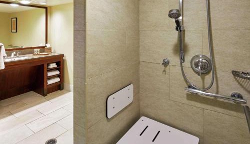 Junior Suite with One King Bed - Mobility Accessible Roll-in Shower
