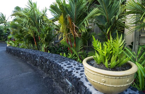 Hana Condo | Oceanview #101 at Hana Kai Maui - 1 Bedroom King/Twins , Amazing View!