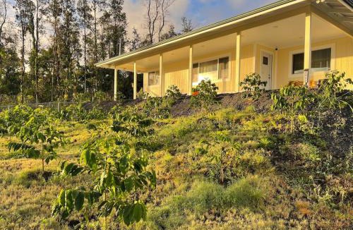 Ainaloa House | Kope Hale Coffee Farm Private Studio near Volcano Park