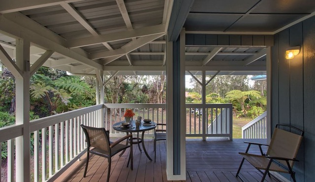 Ferns & Frogs Forest Hale 3 Bedroom Home by RedAwning in Volcano