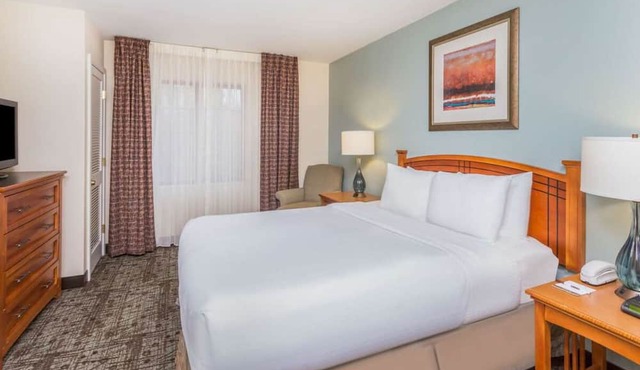 Look No More! Contemporary 1BR Suite with Full Kitchen, Pets are Welcome! in Atlanta