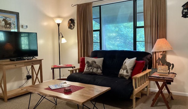 Cozy Cottage near National Park w/Awesome Mountain Views! Extremely clean! in Townsend
